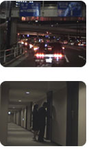 地道な調査活動